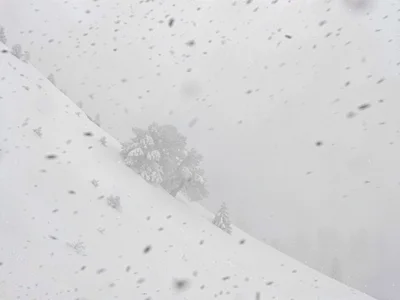 Snowfall creating texture in white
