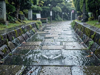 Stone path with each impact visible
