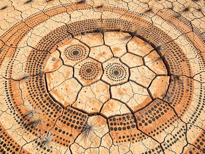 Dry lake bed cracked into polygon tiles from above, sparse dead grass at fissure