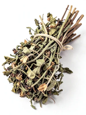 Herb bundle dried