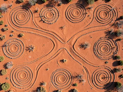 Dried riverbed from above — branching channels like journey lines across terraco