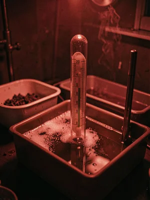 Thermometer in Developer Chemical