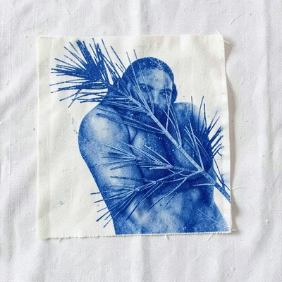 A shoulder blade pressed onto cotton, with pine branch overlaid — body and botan