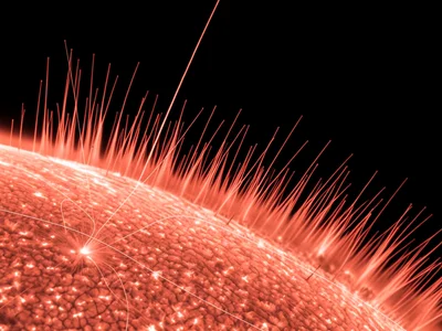 Spicule forest on solar limb, thousands of plasma jets rising like grass blades 