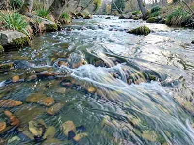 Slow water showing subtle current direction