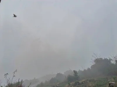Smog clearing edge visible