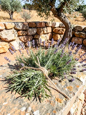 Herb Bouquet on Stone