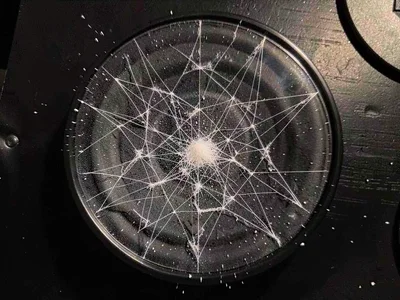 Glass dust on speaker showing delicate web-like pattern
