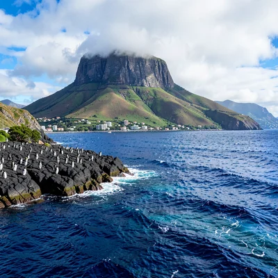 Cape Town mountain-sea duality, Table Mountain backdrop, penguin colony on rocky