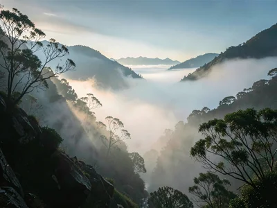 Fog clearing revealing phenomenon