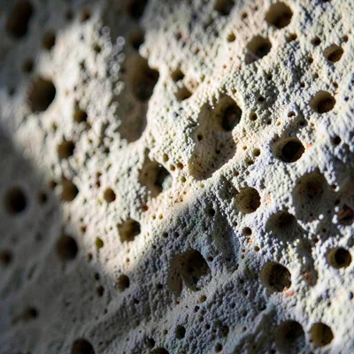 Tight texture study of cellar limestone wall with mineral bloom, raking light ac