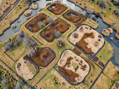 Old peat harvesting pattern creating geometric abstraction