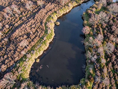 Pool margins showing sharp line between water and vegetation