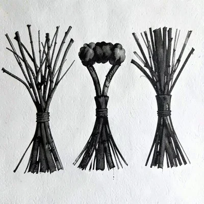 Pen-ink elevation of five broom silhouettes deconstructed into hurl shapes
