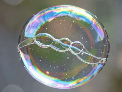 Merging bubbles showing membrane flow
