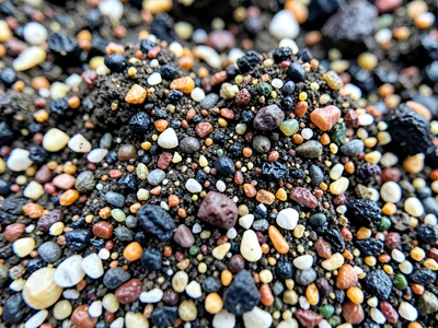 Biogenic sand showing all organic origin