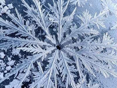 Rime ice coating showing directional growth toward wind source