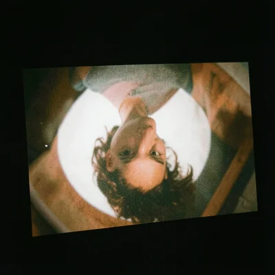 Close-up of ground glass focusing screen, inverted image visible