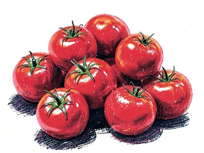 Pile of ripe tomatoes