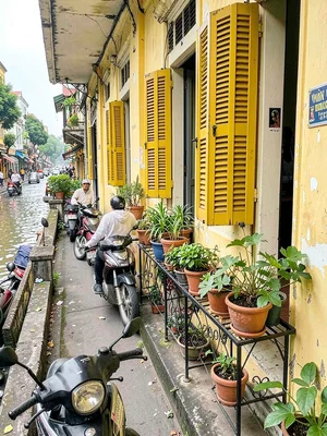 French colonial balcony with potted plants