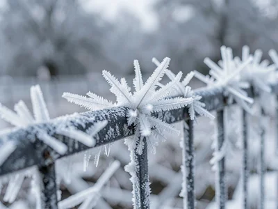 Frost on metal fence different growth