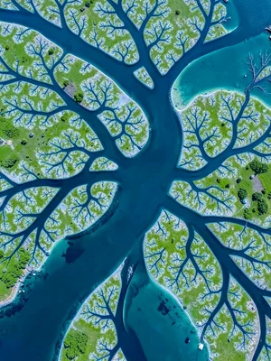 The Lena River delta, branching waterways creating perfect fractal pattern in bl