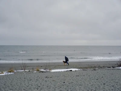 A single person walking a dog on a winter beach under flat grey sky, the grey sa