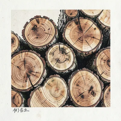 Stacked firewood ends showing grain rings, tight overhead view