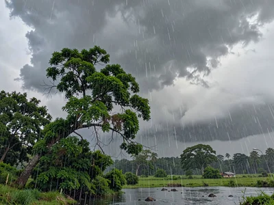 Wind preceding storm bending trees