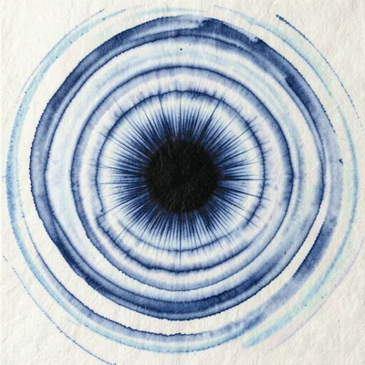 A solar eclipse with the corona spreading as radial ink filaments from a dense b