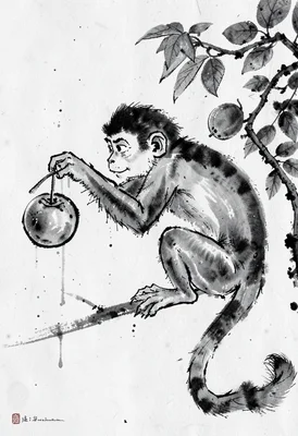 Monkey fruit sumi-e