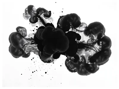 Black ink cloud expanding in clear water