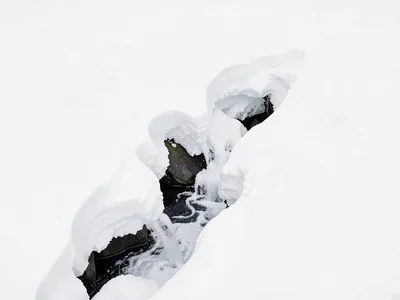 Stream emerging from snow visible
