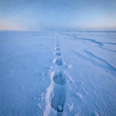 Arctic conditions photograph, extreme cold environment, A polar bear track in th