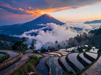 Merapi ash cloud over rice terraces