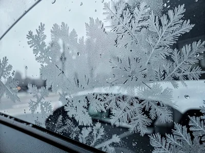 Vehicle windshield overnight frost art