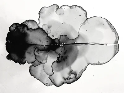 Ink edge diffusing into clear water