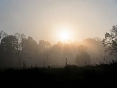 Foggy backlit scene