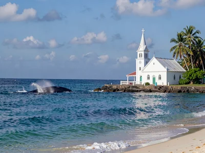 Sunday stillness in Nuku'alofa, Tonga, Whale spout on the horizon of calm ocean,