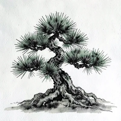 Painterly gouache of a black pine bonsai with deep needle clusters, charcoal and