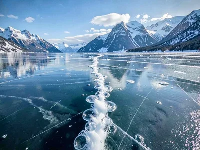 Bubble trail from bottom to surface frozen in time