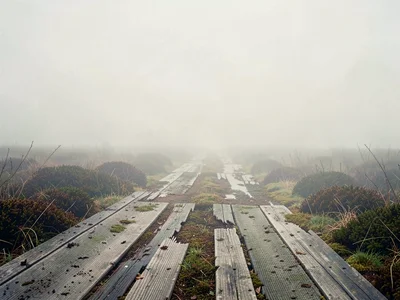 Sagging corduroy log road across a peat moor, planks rotting at the edges, the m