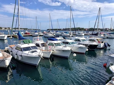 Harbor boats organized