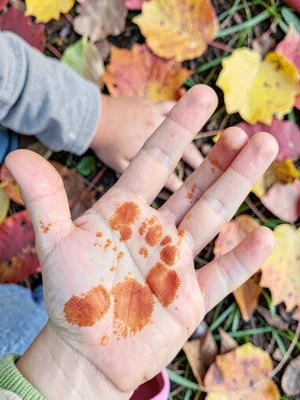Child's handprints overlapping with autumn leaves, generations of touch preserve
