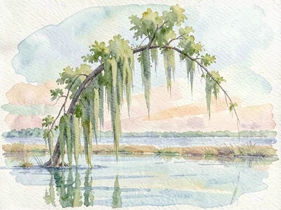 Spanish moss grows so heavy it bows a cypress branch into a painterly downward c