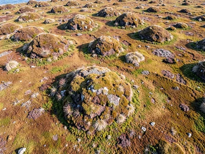 Palsa mounds rising as domes from otherwise flat bog