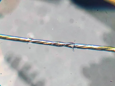 Wire with chromatic aberration visible