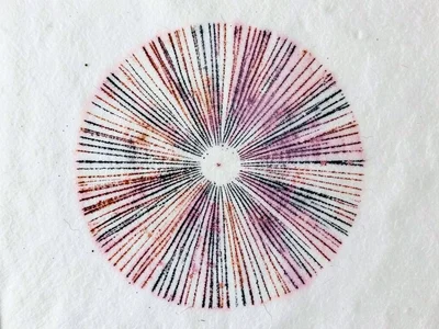 Old spore print, deposited weeks ago with spores settled into paper fiber, archa