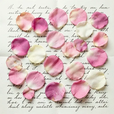 A romantic scatter of pressed rose petals in pink and cream across a page of old