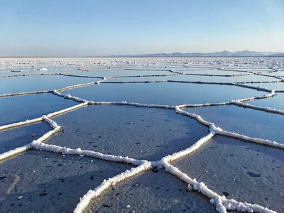 Salt polygon edges visible through water layer